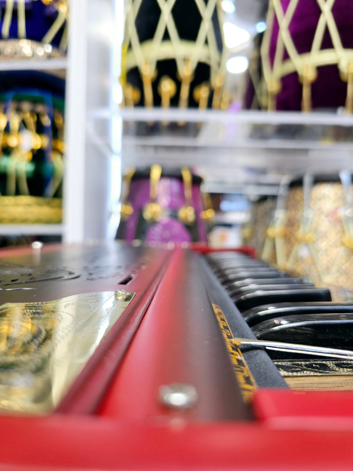 Bhisham's Custom Harmonium