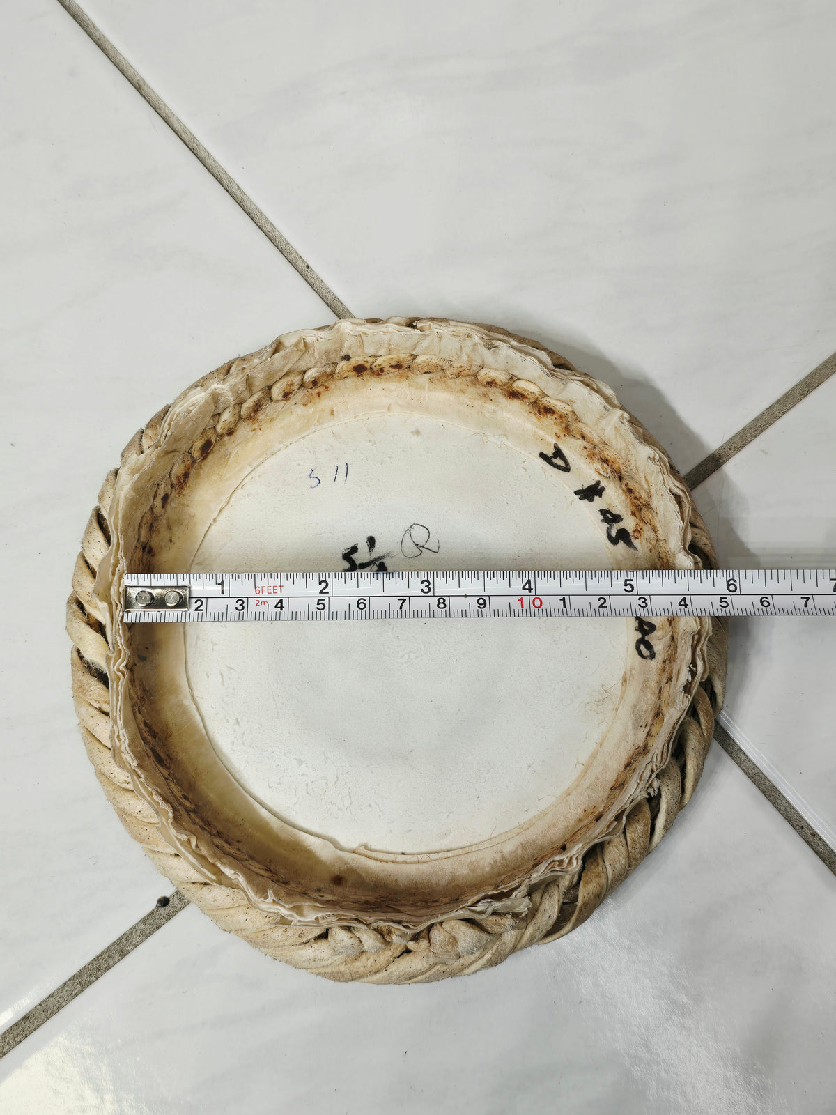 5.25" D Dayan Skin