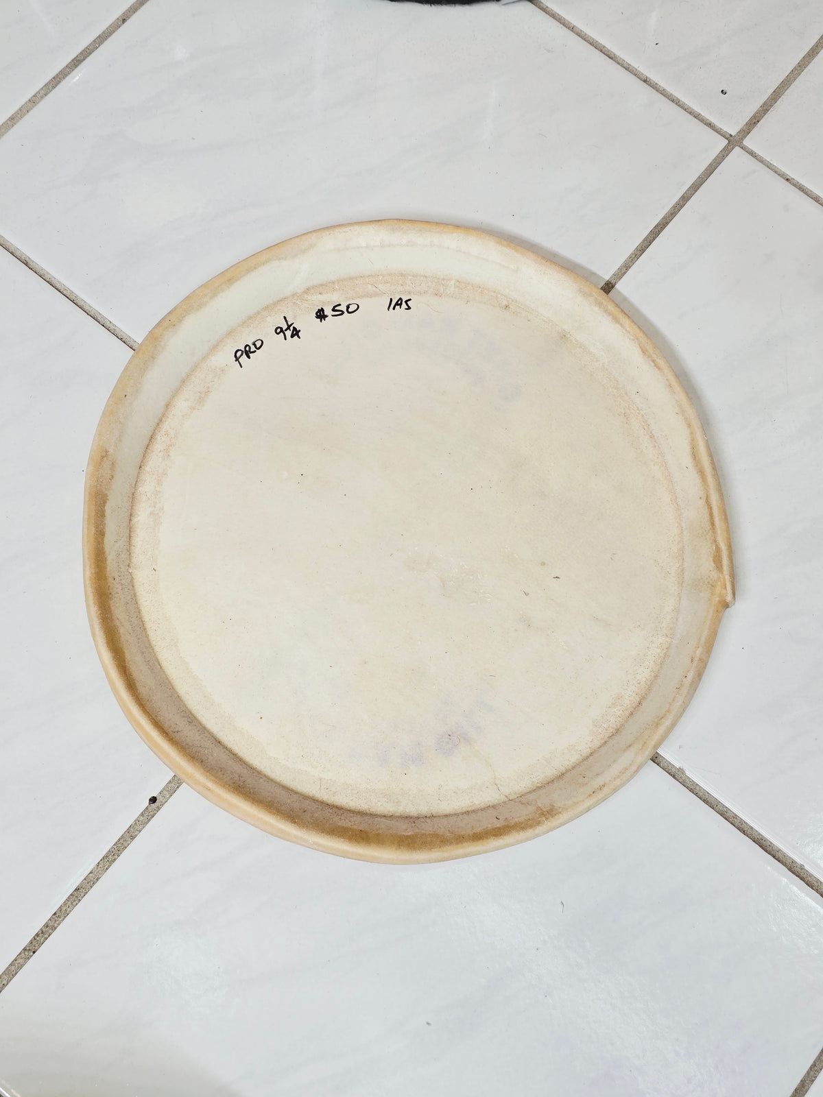 Chetram Gill 9" Pro Skin