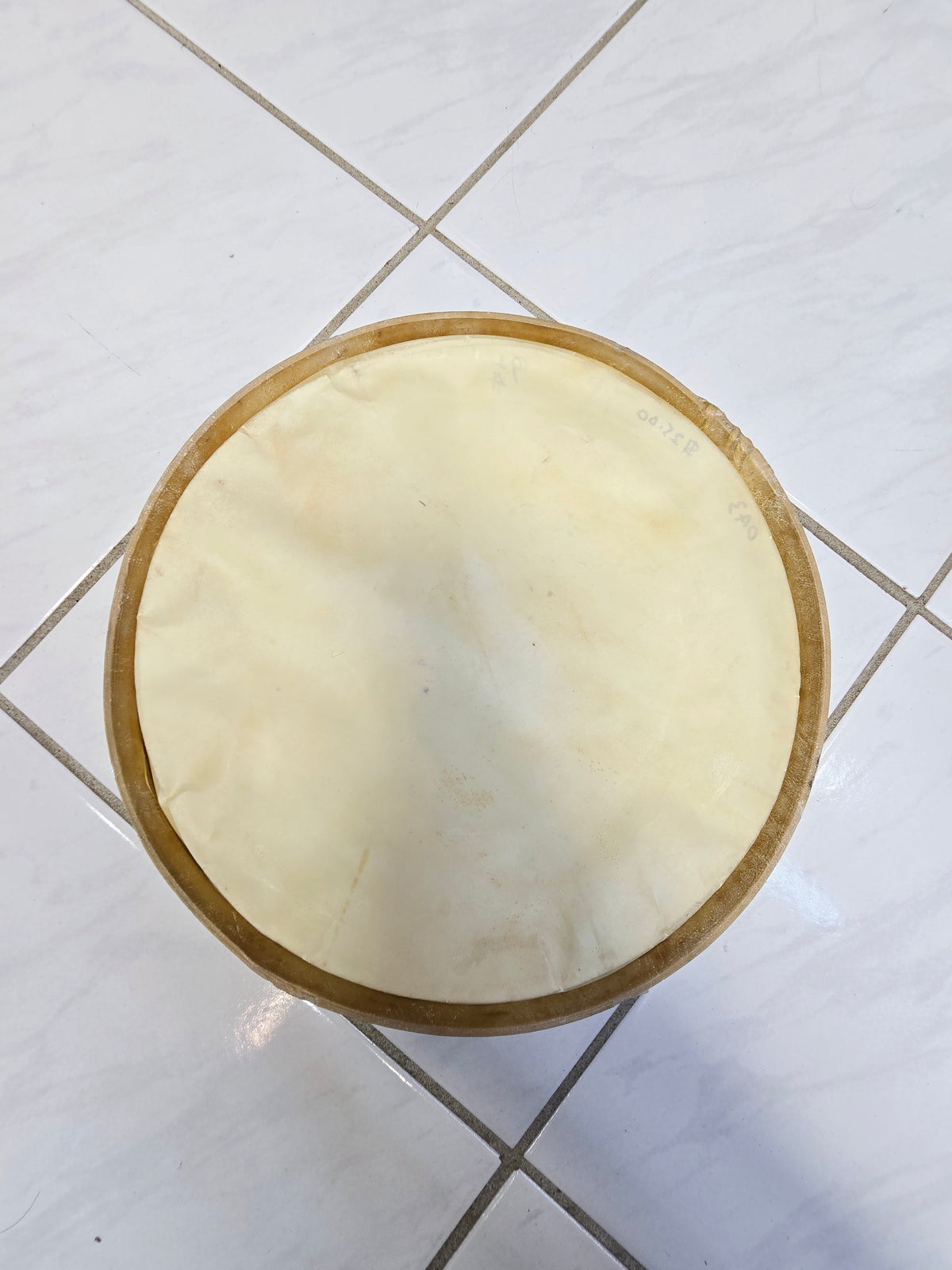 Standard 9.25" Dholak Bass Skin - Sangeet Store