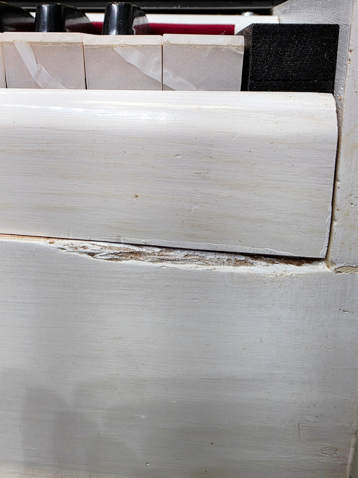 Ivory Echo – Toddler Harmonium | Minor Cosmetic Defects
