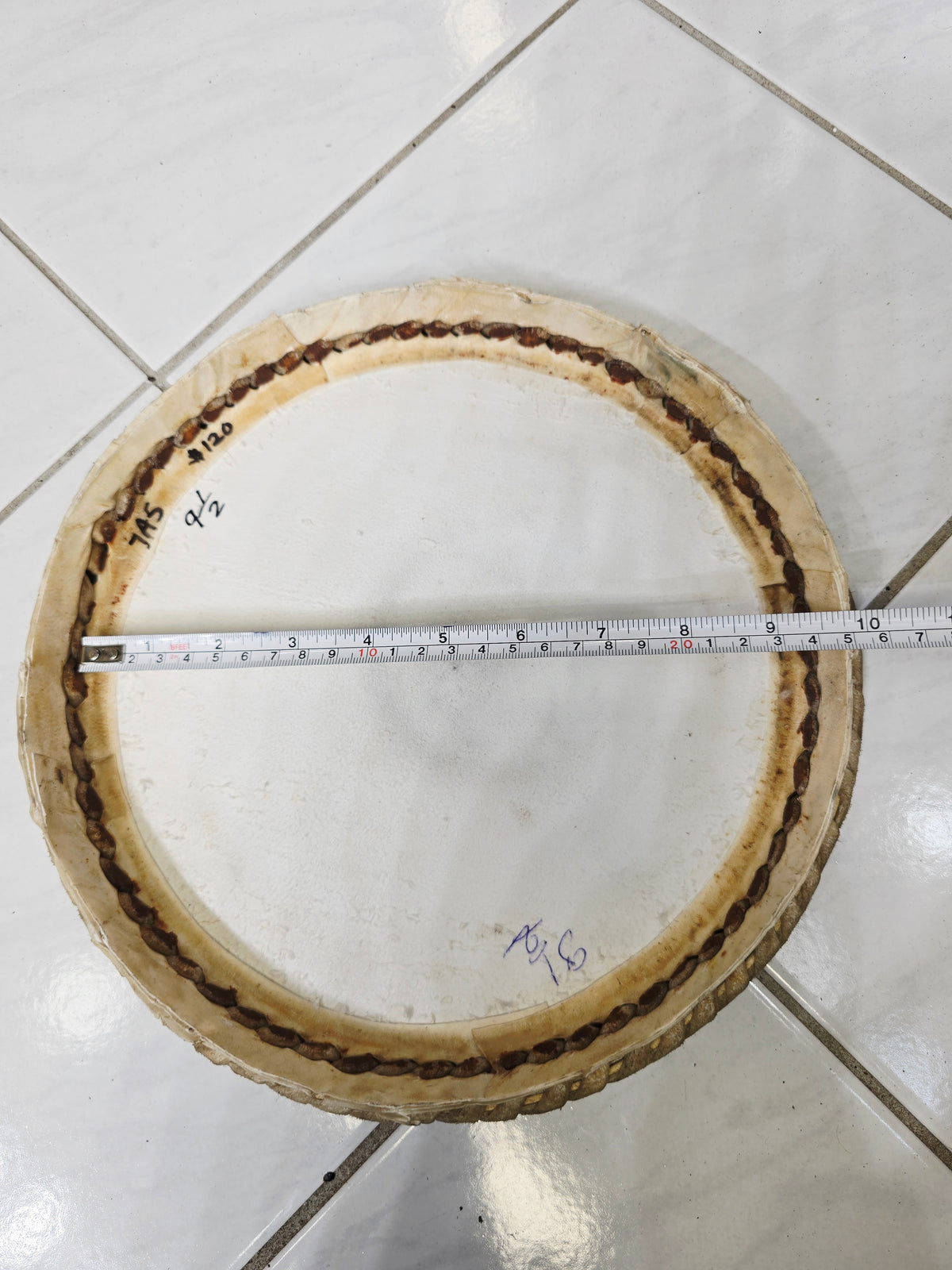Concert Quality: 9.5" Bayan Skin - Sangeet Store