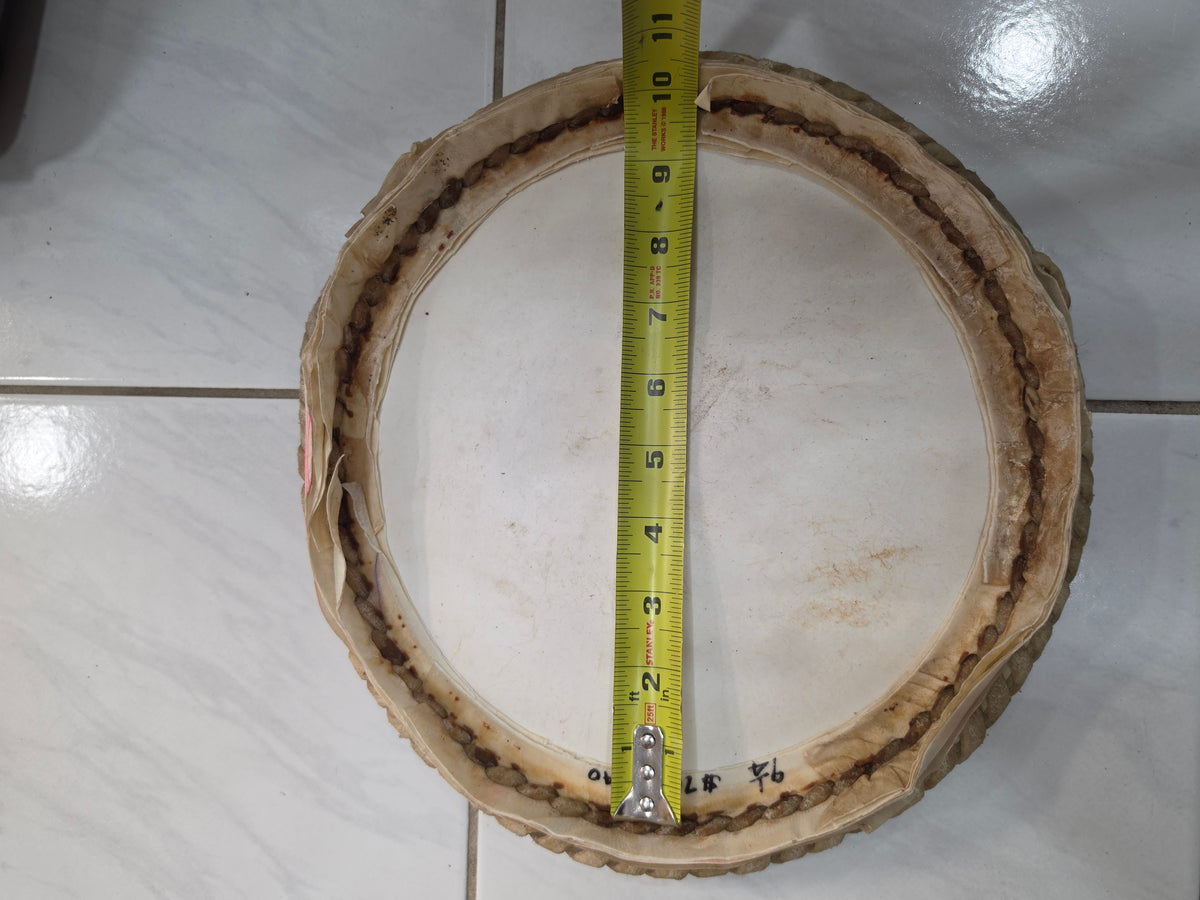 9.5" Naal Skin